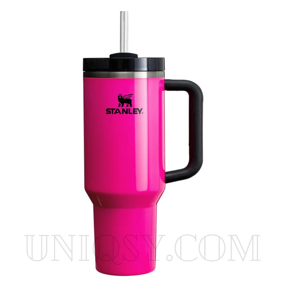 Stanley 40 OZ Tumbler Cup with Handle and Straw