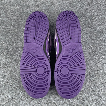 Concepts x Dunk Low SB 'Purple Lobster' Shoe