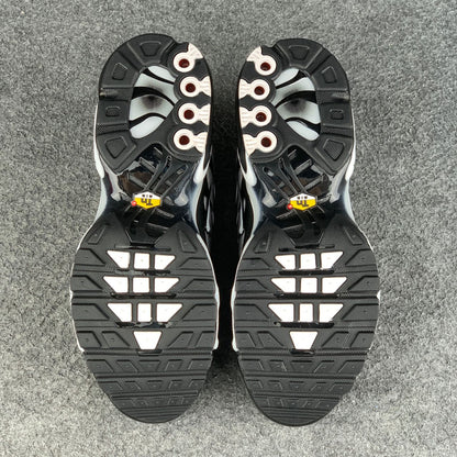Air Max Plus 'Black Metallic Silver'